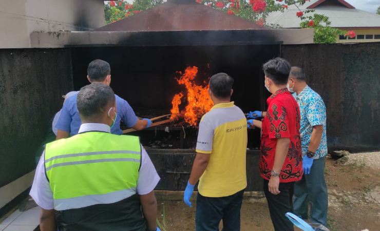 Karantina Pertanian Merauke Musnahkan Ayam dan Bibit Jeruk dari Luar Papua