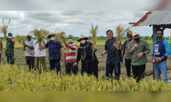 Anggota DPR RI Bantu 181 Mesin Pertanian ke Petani Merauke