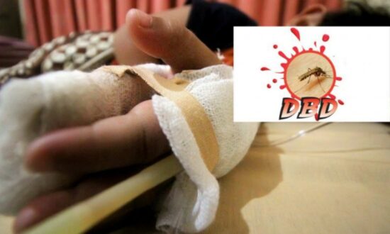 Penderita DBD di Papua 331 Orang
