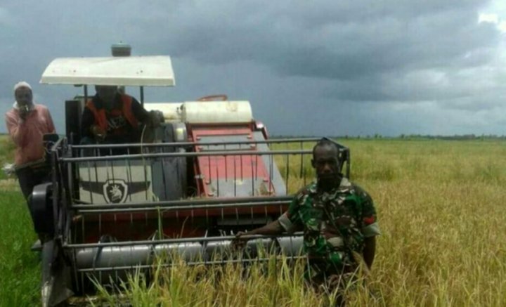 Wakil Menteri Luar Negeri PNG Jajaki Pembelian Beras Dari Merauke