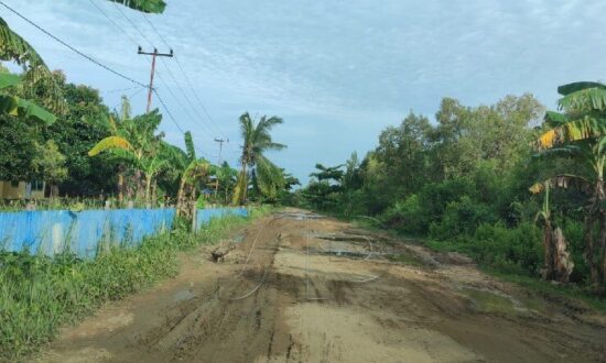 Warga Lokal di Semangga Kembali ‘Berteriak’ Soal Jalan Rusak