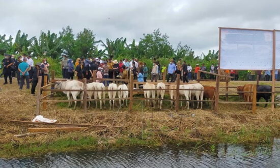 Pemkab Siapkan Ratusan Ton Pangan Selama PON di Merauke