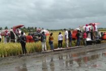 Berkunjung ke Merauke