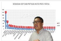 Update Data Papua: Tambahan 12 Kasus Positif COVID-19